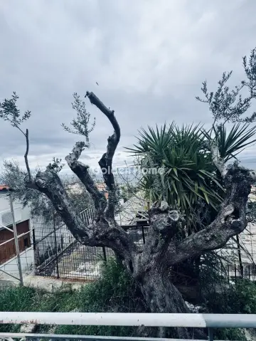 Apartment 100m<sup>2</sup> for rent photo 23