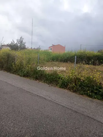 Residential 675m<sup>2</sup> for sale photo 5351675