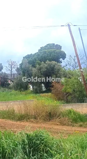 Residential 300m<sup>2</sup> for sale photo 2