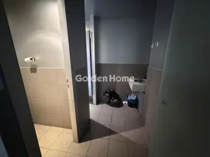 Κατάστημα 158τ.μ. προς ενοικίαση φωτογραφία 5355107