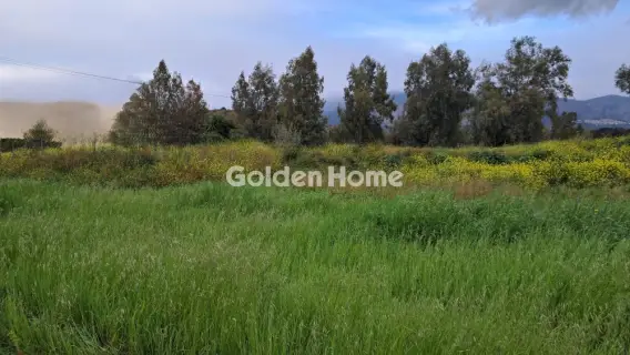 Οικιστικό 1115τ.μ. προς πώληση φωτογραφία 4