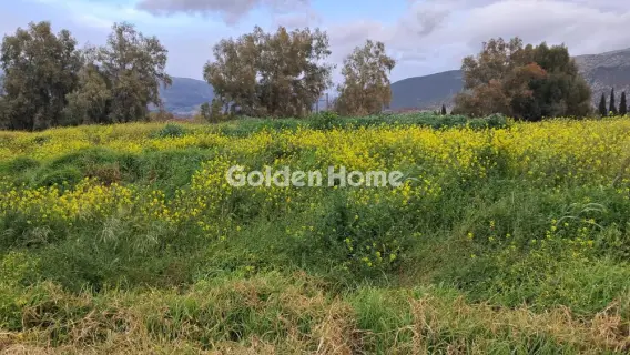 Οικιστικό 1115τ.μ. προς πώληση φωτογραφία 3