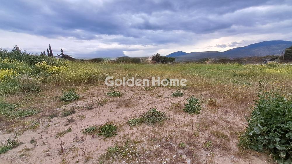 住宅 425m<sup>2</sup> for sale display photo