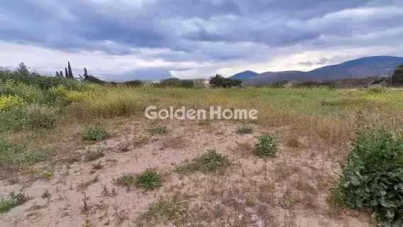 Οικιστικό 1115τ.μ. προς πώληση φωτογραφία 1