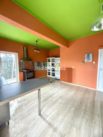 Οροφοδιαμέρισμα 256τ.μ. προς πώληση φωτογραφία 15