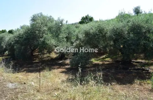 Residential 5428m<sup>2</sup> for sale photo 1