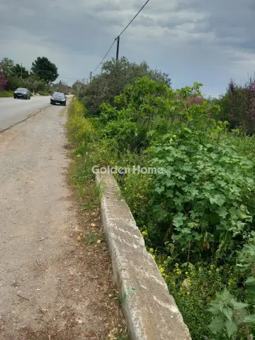 Parcel 819m<sup>2</sup> for sale photo 5