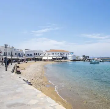 Μονοκατοικία 240τ.μ. προς ενοικίαση φωτογραφία 33