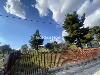 Οικιστικό 4376τ.μ. προς πώληση φωτογραφία 5362254