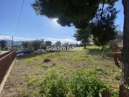 Οικιστικό 4376τ.μ. προς πώληση φωτογραφία 5362255