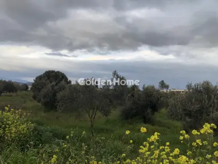 Οικιστικό 2500τ.μ. προς πώληση φωτογραφία 2