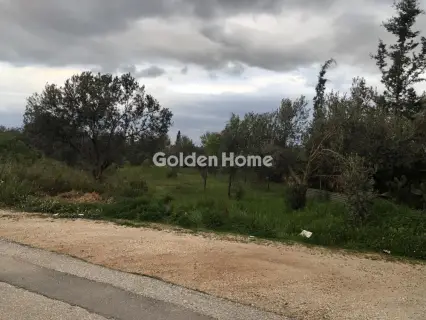 Οικιστικό 2500τ.μ. προς πώληση φωτογραφία 3