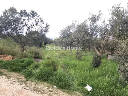 Οικιστικό 2500τ.μ. προς πώληση φωτογραφία 1