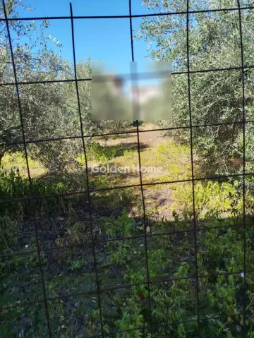 Οικιστικό 850τ.μ. προς πώληση φωτογραφία 7