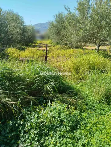 Οικιστικό 850τ.μ. προς πώληση φωτογραφία 8
