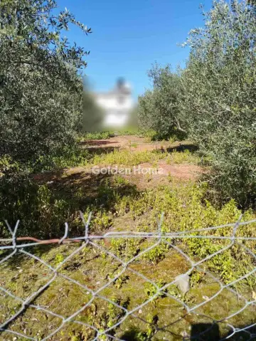 Οικιστικό 850τ.μ. προς πώληση φωτογραφία 9