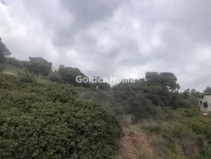 Residential 4700m<sup>2</sup> for sale photo 5353870