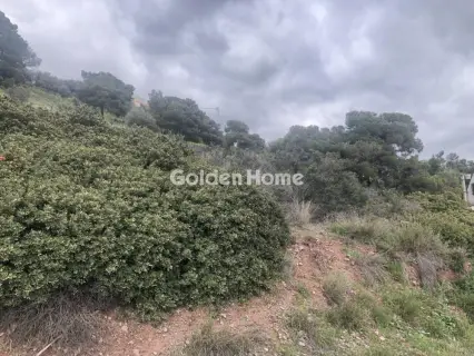 Residential 4700m<sup>2</sup> for sale photo 5353869