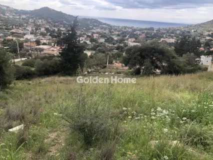 Residential 4700m<sup>2</sup> for sale photo 3