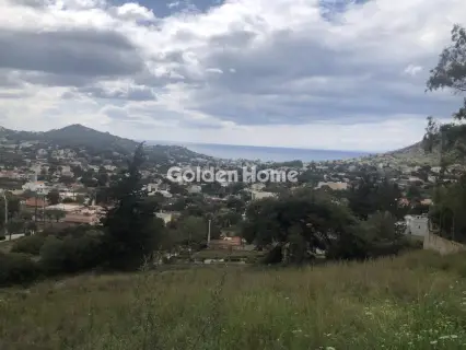 Οικιστικό 1296τ.μ. προς πώληση φωτογραφία 5353865