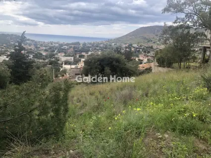 Οικιστικό 1296τ.μ. προς πώληση φωτογραφία 5353865