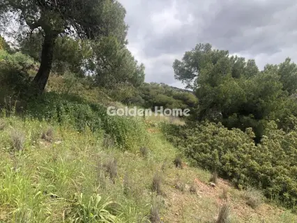 Residential 3404m<sup>2</sup> for sale photo 5353928