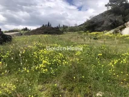 Οικιστικό 430τ.μ. προς πώληση φωτογραφία 5354018