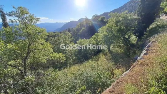 Οικιστικό 1115τ.μ. προς πώληση φωτογραφία 5447110