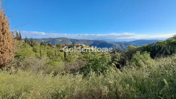 Οικιστικό 1115τ.μ. προς πώληση φωτογραφία 5447112