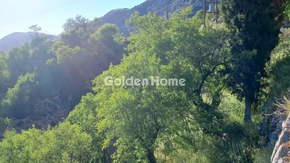Οικιστικό 1115τ.μ. προς πώληση φωτογραφία 5447114