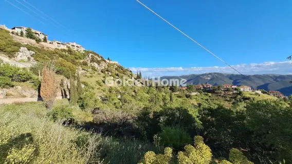 Οικιστικό 1115τ.μ. προς πώληση φωτογραφία 5447116