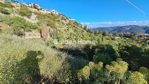 Οικιστικό 1115τ.μ. προς πώληση φωτογραφία 5447119