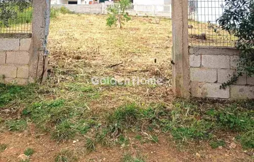 Οικιστικό 260τ.μ. προς πώληση φωτογραφία 2