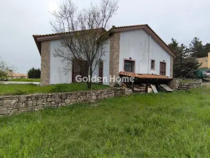 Μονοκατοικία 320τ.μ. προς πώληση φωτογραφία 5356834