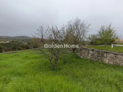 Μονοκατοικία 320τ.μ. προς πώληση φωτογραφία 5356834