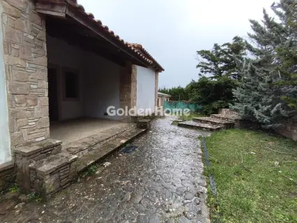 Μονοκατοικία 320τ.μ. προς πώληση φωτογραφία 5356835