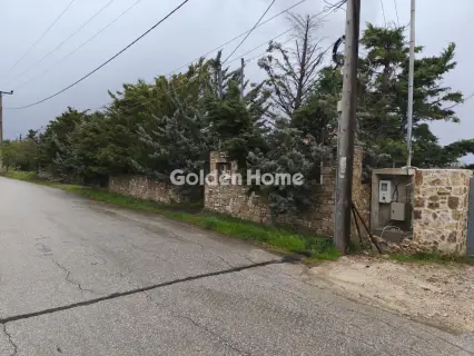 Μονοκατοικία 320τ.μ. προς πώληση φωτογραφία 5356845