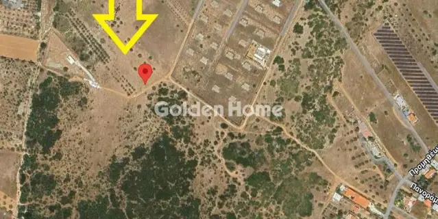 Parcel 3755m<sup>2</sup> for sale photo 5356357