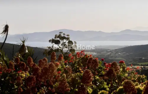 Αγροτεμάχιο 8011τ.μ. προς πώληση φωτογραφία 5357601