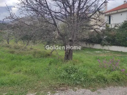 Οικιστικό 689τ.μ. προς πώληση φωτογραφία 5357595