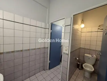 Κατάστημα 135τ.μ. προς ενοικίαση φωτογραφία 28