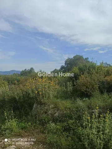 Residential 4118m<sup>2</sup> for sale photo 5358296