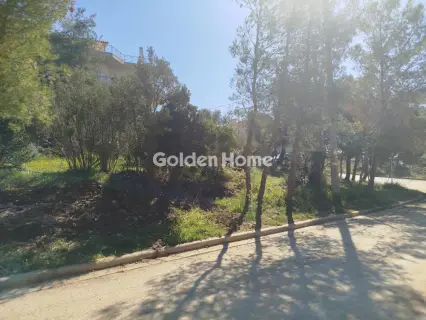 住宅 621m<sup>2</sup> for sale photo 5371426