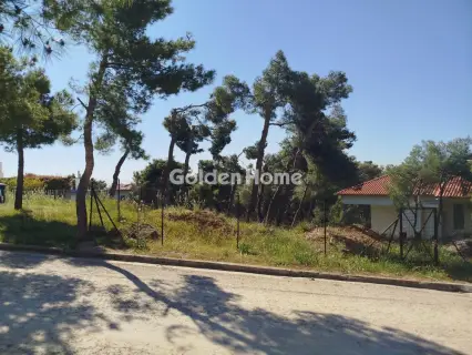 住宅 621m<sup>2</sup> for sale photo 5371427