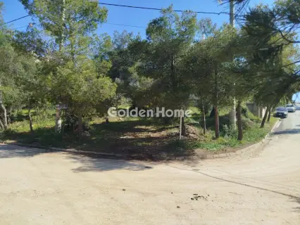 住宅 621m<sup>2</sup> for sale photo 5371428