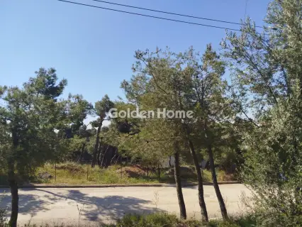 住宅 621m<sup>2</sup> for sale photo 5371428