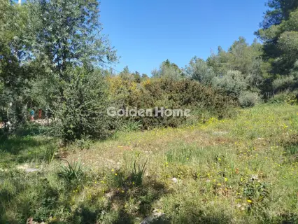 住宅 621m<sup>2</sup> for sale photo 5371428