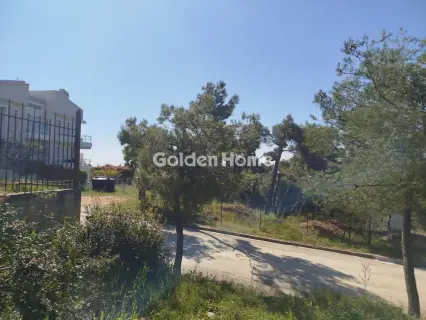 住宅 621m<sup>2</sup> for sale photo 5371429