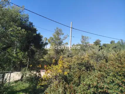Residential 621m<sup>2</sup> for sale photo 5371430