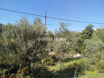 Residential 621m<sup>2</sup> for sale photo 5371430